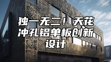 独一无二!天花冲孔铝单板创新设计